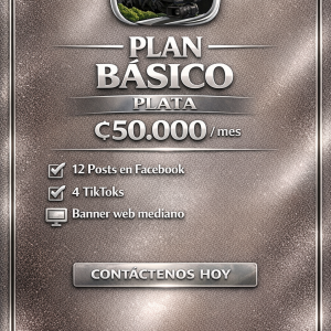 🔹PLAN BASICO🔹