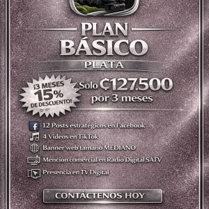 🔹PLAN BASICO 3 MESES🔹