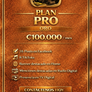 🔹PLAN PRO🔹