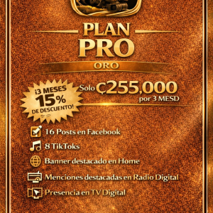🔹PLAN PRO 3 MESES🔹